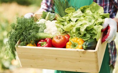 Made in Italy all’estero, crescono dell’8% le vendite di frutta e verdura